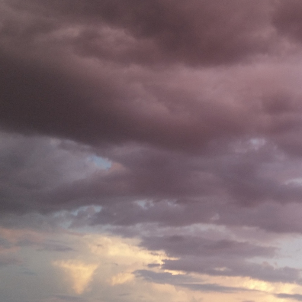 Meet your Posher, Jazmin